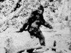 BigFootIsBlurry's Avatar